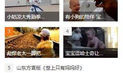 搞笑视频排行榜,笑料横飞，欢乐无限